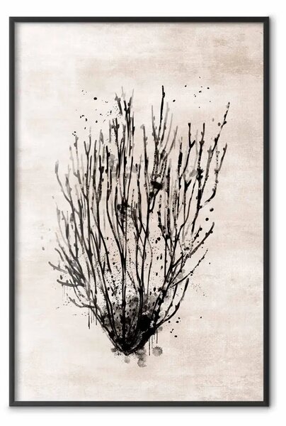 Poster: Arbusti marini - composizione nera di piante su sfondo texture beige