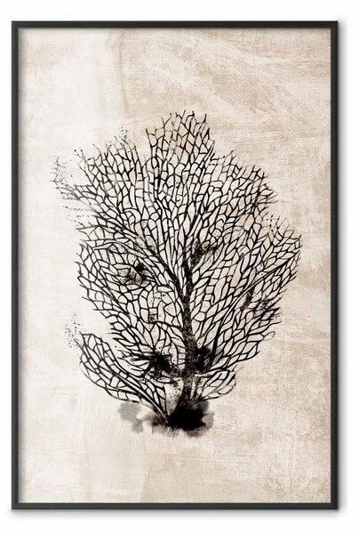 Poster: Ventaglio marino - composizione scura piante, sfondo beige