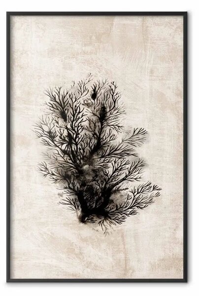 Poster: Flora oceanica - composizione nera di piante su texture beige