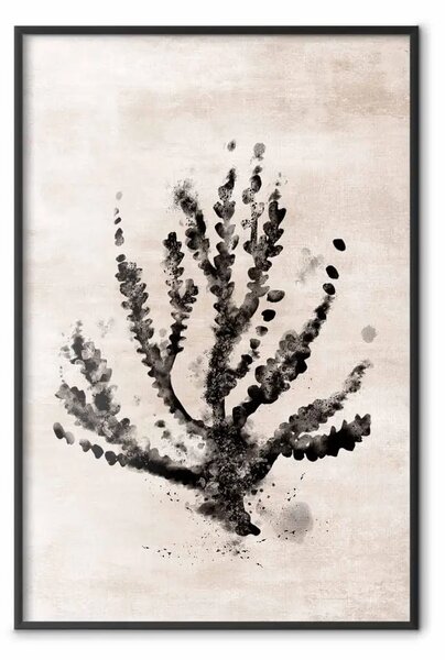 Poster: Pianta marina - composizione nera di piante su sfondo texture beige