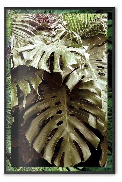 Poster: Nobiltà della giungla - composizione tropicale di foglie di monstera