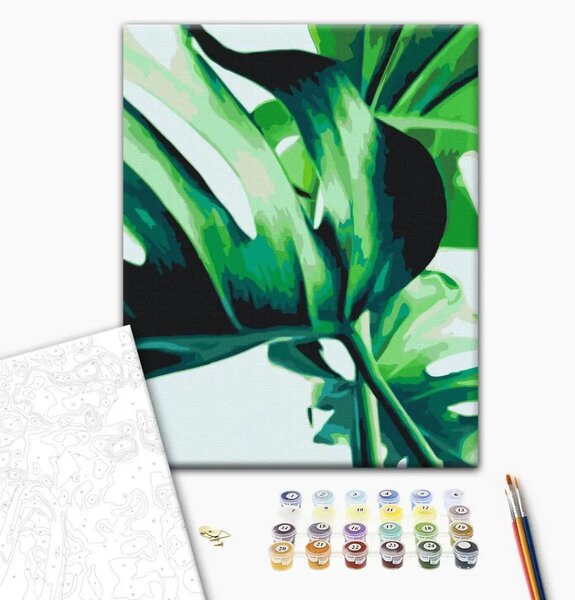 Quadro da dipingere con i numeri Monstera di Adanson