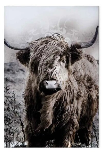 Quadro moderno Toro scozzese seppia - animale selvatico capelli chiaro