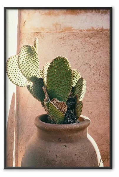 Poster: Cactus in vaso - succulenta in vaso su sfondo luminosità solare