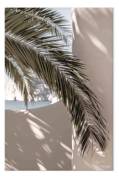 Quadro moderno Terrazza con vista verticale - foglia di palma in Marocco