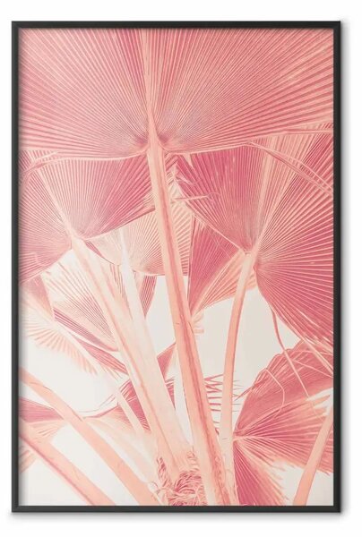Poster: Palme pastello - composizione di palma in contrasto rosso