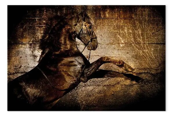 Quadro moderno Cavallo dorato - Astrazione con un motivo hippico in graffi dorati
