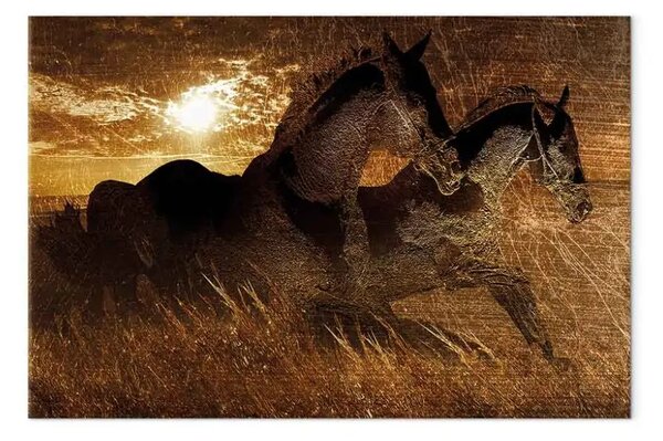 Quadro su tela Golden Galop - Due cavalli al galoppo su un prato dorato