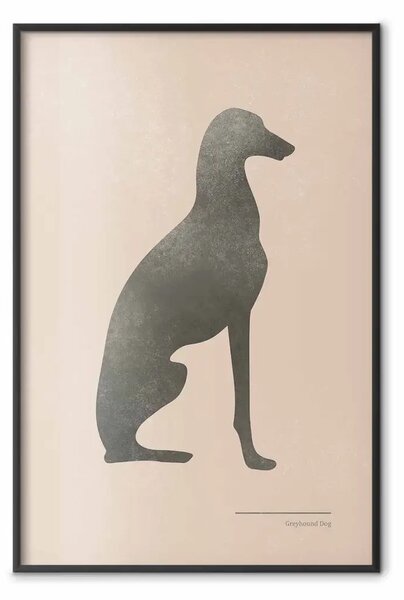 Poster: Levriero sereno - silhouette nera di un cane su sfondo pastello uniforme