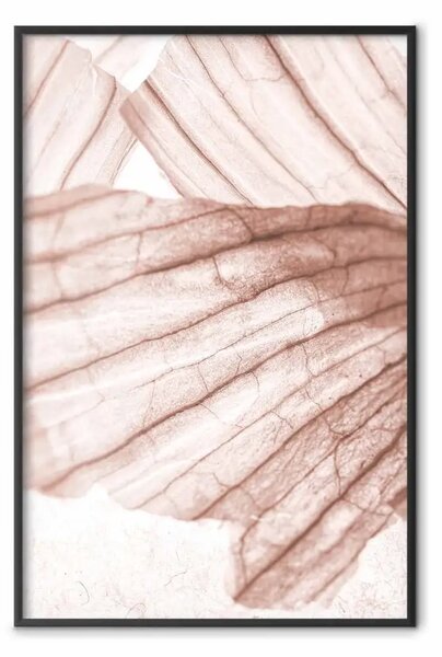 Poster: Luce alata - texture astratta di legno di colore chiaro
