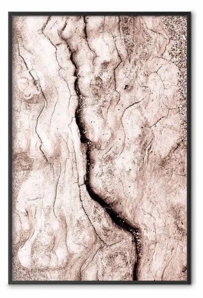 Poster: Tocco di vento tropicale - texture naturale di legno crepato