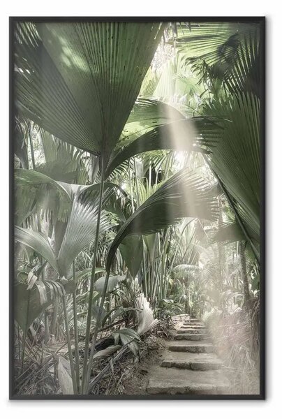 Poster: Raggio di luce