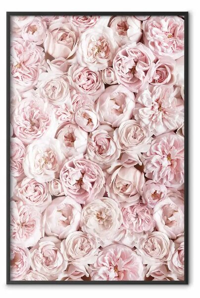 Poster: Fiori dal giardino - composizione di fiori rosa in motivo romantico