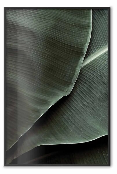 Poster: Rilievo verde