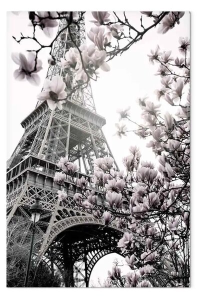 Quadro su tela Magnolie parigine - fiori primaverili su sfondo a torre