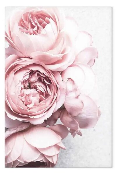 Quadro contemporaneo Aroma di rose verticale - fiori rosa in stile boho