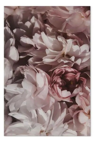 Quadro contemporaneo Fiori all'ombra - Composizione floreale pastello nello stile di Boho