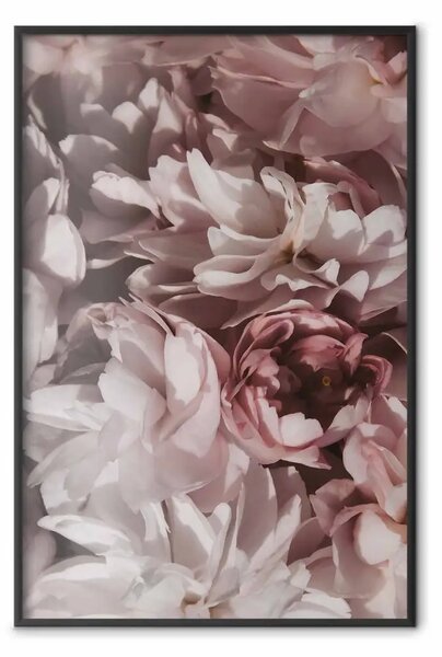 Poster: Estate in giardino - fiori delicatamente rossi