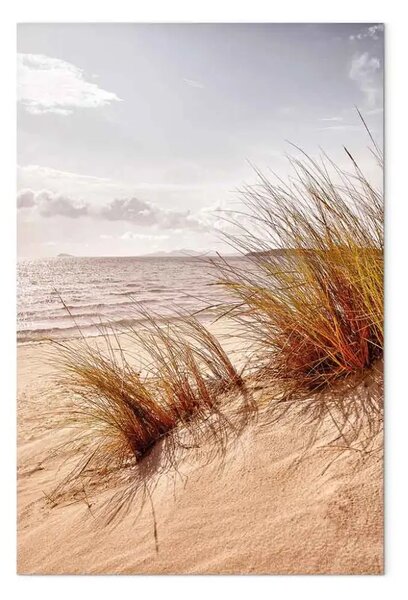 Quadro Vento sera - paesaggio spiaggia stile boho