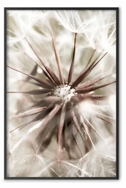 Poster: Vicinanza alla natura - composizione estiva con fiore