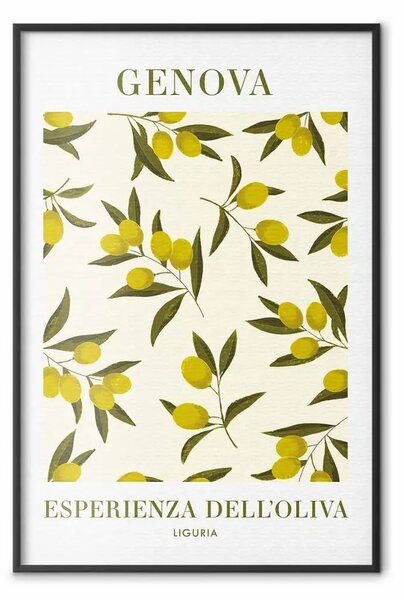 Poster: Olive della Liguria - piccoli frutti e scritte in italiano
