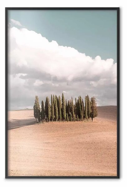Poster: Dolce Toscana - paesaggio caldo di campagna con alberi e nuvole