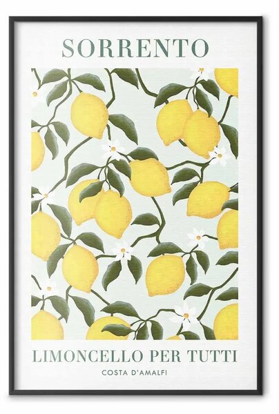 Poster: Limoni di Sorrento - frutti e scritte in italiano