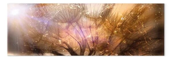 Quadro moderno Alba stretto - denti di leone su sfondo dorato