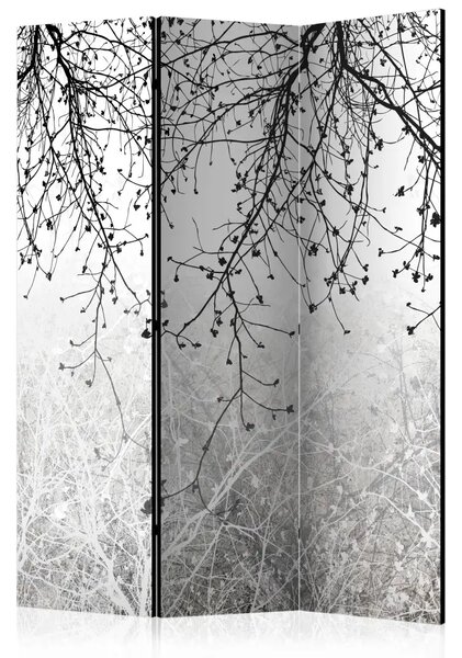 Paravento separè Luminosità naturale - Composizione in bianco e nero