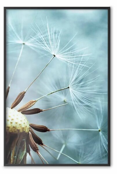 Poster: Elevazione dello spazio