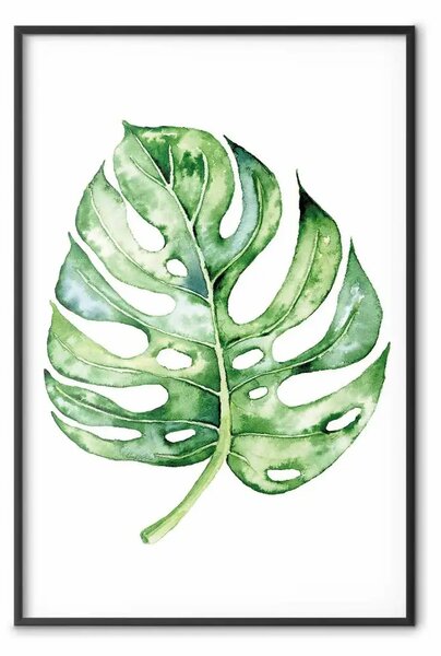 Poster: Monstera ad acquerello