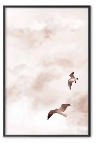 Poster: Appassionati del cielo