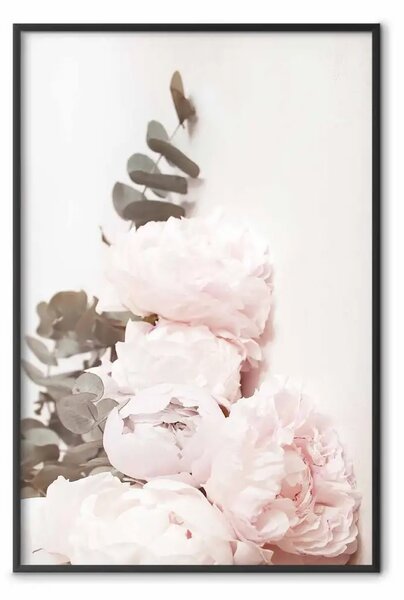 Poster: Peonie di vaniglia