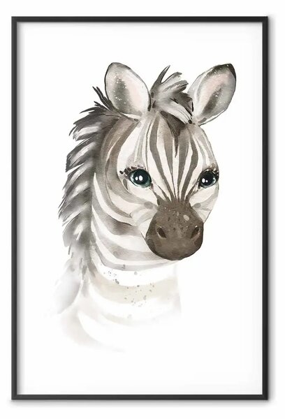 Poster: Piccola zebra