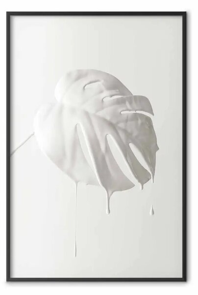 Poster: Monstera chiara - foglie bianche di pianta tropicale