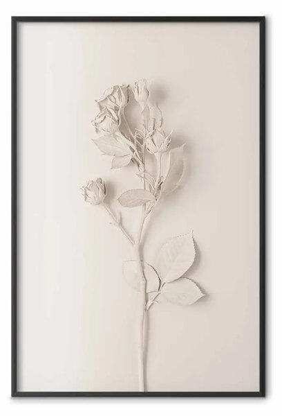 Poster: Rosa armonica - composizione unica con fiore su sfondo uniforme