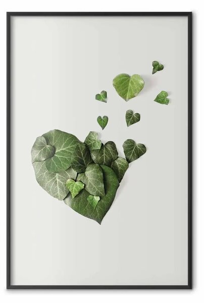 Poster: Edera amorosa - composizione in piante verdi su sfondo bianco