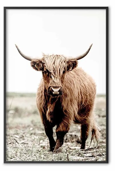 Poster: Giovane cervo - animale su sfondo paesaggio rurale e cielo chiaro