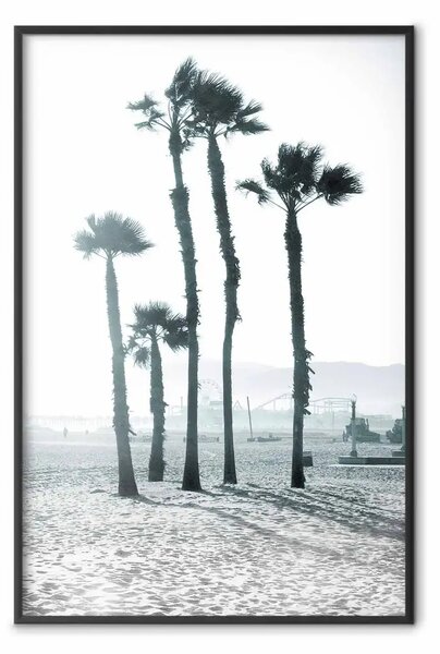 Poster: Palme al vento - spiaggia luminosa