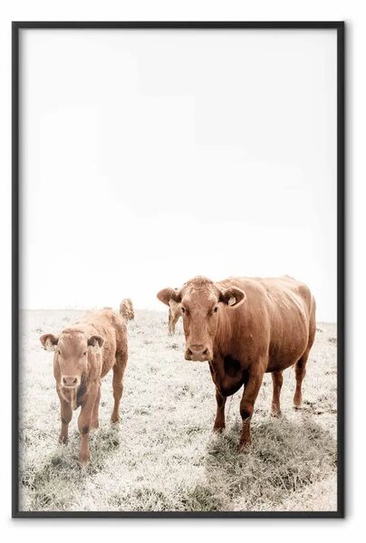 Poster: Mamma e vitellino - animali da fattoria su sfondo paesaggio rurale