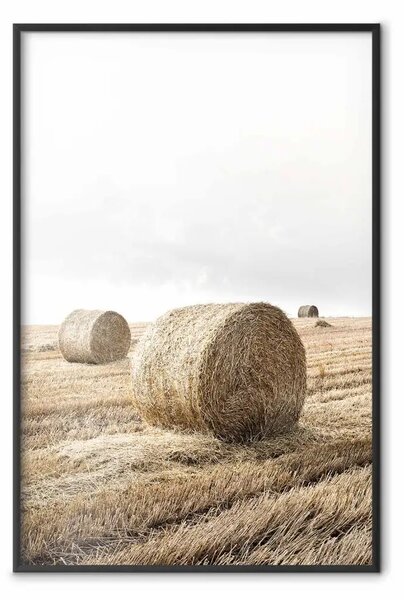 Poster: Fieno - paesaggio rurale con vista su campi marroni in raccolta