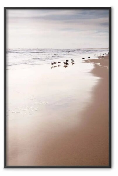 Poster: Autunno in spiaggia - mare e anatre