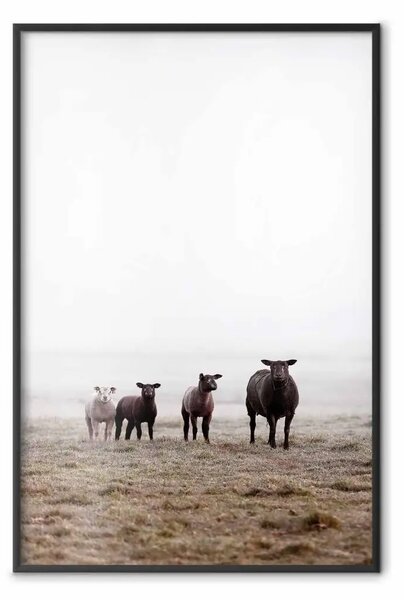 Poster: Amici al mattino - paesaggio di campo con animali su sfondo di nebbia