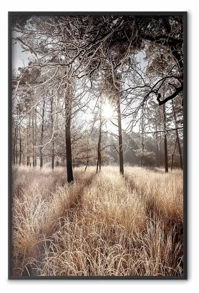 Poster: Dritto all'amore - paesaggio di foresta e alberi su alba