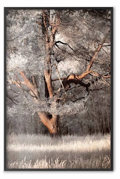 Poster: La mia storia - paesaggio solare con vista su alberi e prato denso