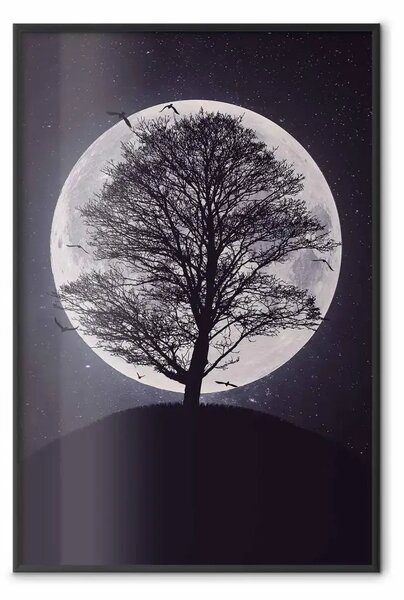 Poster: Albero solitario - paesaggio notturno di albero su luce di luna chiara