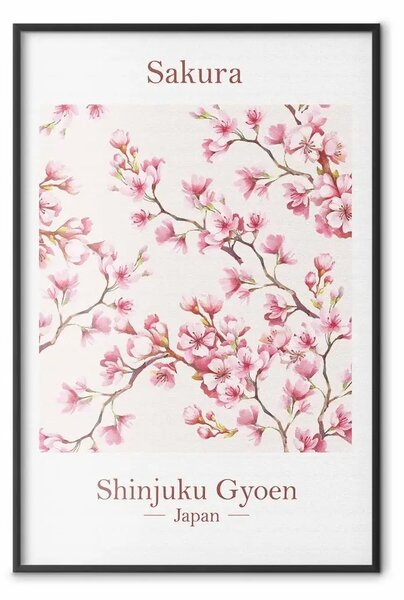 Poster: Sakura - testi in inglese e pianta giapponese con fiori rosa