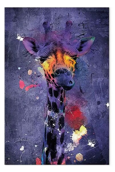 Quadro Giraffa Hania - ritratto colorato di animale africano