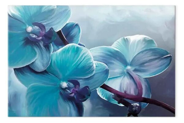 Quadro su tela Orchidee da vicino - petali turchesi dei fiori