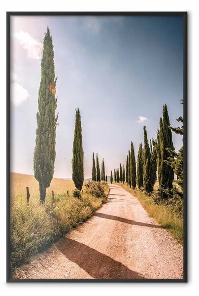 Poster: Cipressi italiani - paesaggio di sentiero con alberi su cielo blu